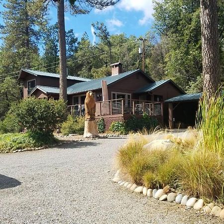 Uncle Grizz'S Cabin...Get Intouch With Nature Bass Lake Annex Esterno foto