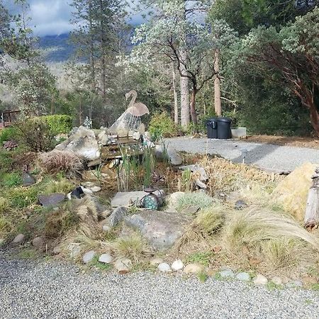 Uncle Grizz'S Cabin...Get Intouch With Nature Bass Lake Annex Esterno foto