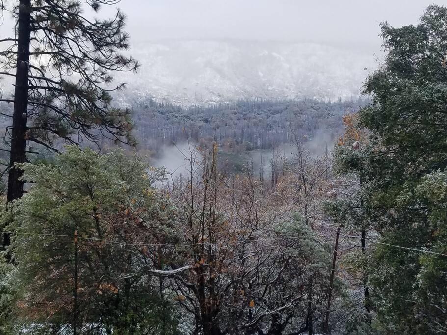 Uncle Grizz'S Cabin...Get Intouch With Nature Bass Lake Annex Esterno foto