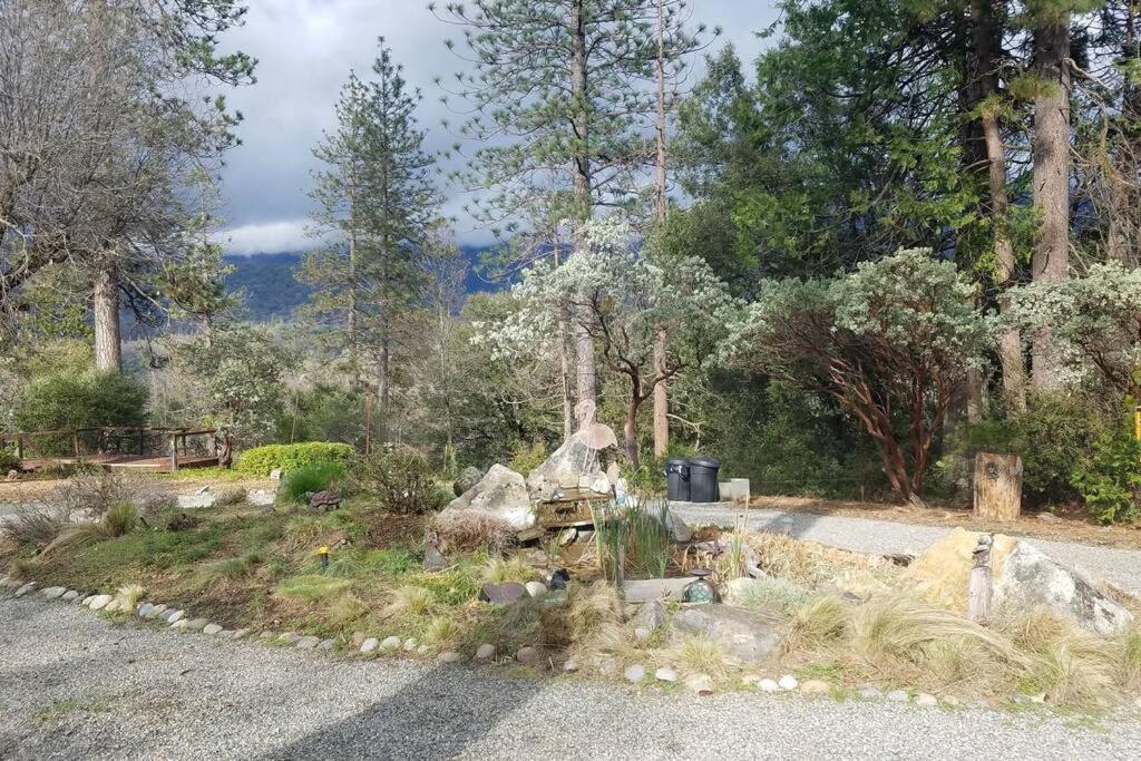 Uncle Grizz'S Cabin...Get Intouch With Nature Bass Lake Annex Esterno foto