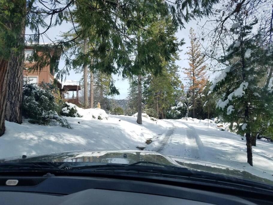 Uncle Grizz'S Cabin...Get Intouch With Nature Bass Lake Annex Esterno foto